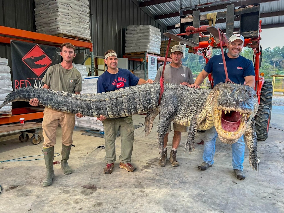 Die Jäger posieren mit dem Rekord-Reptil.