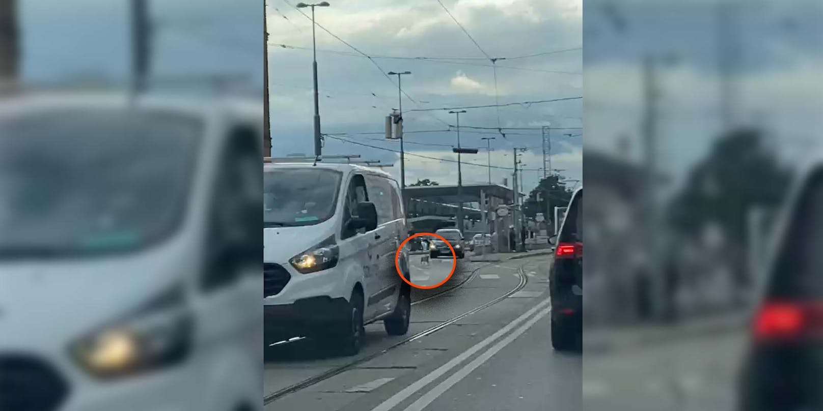 Passanten und Polizei-Beamte bangten um den Vierbeiner in Wien-Meidling.