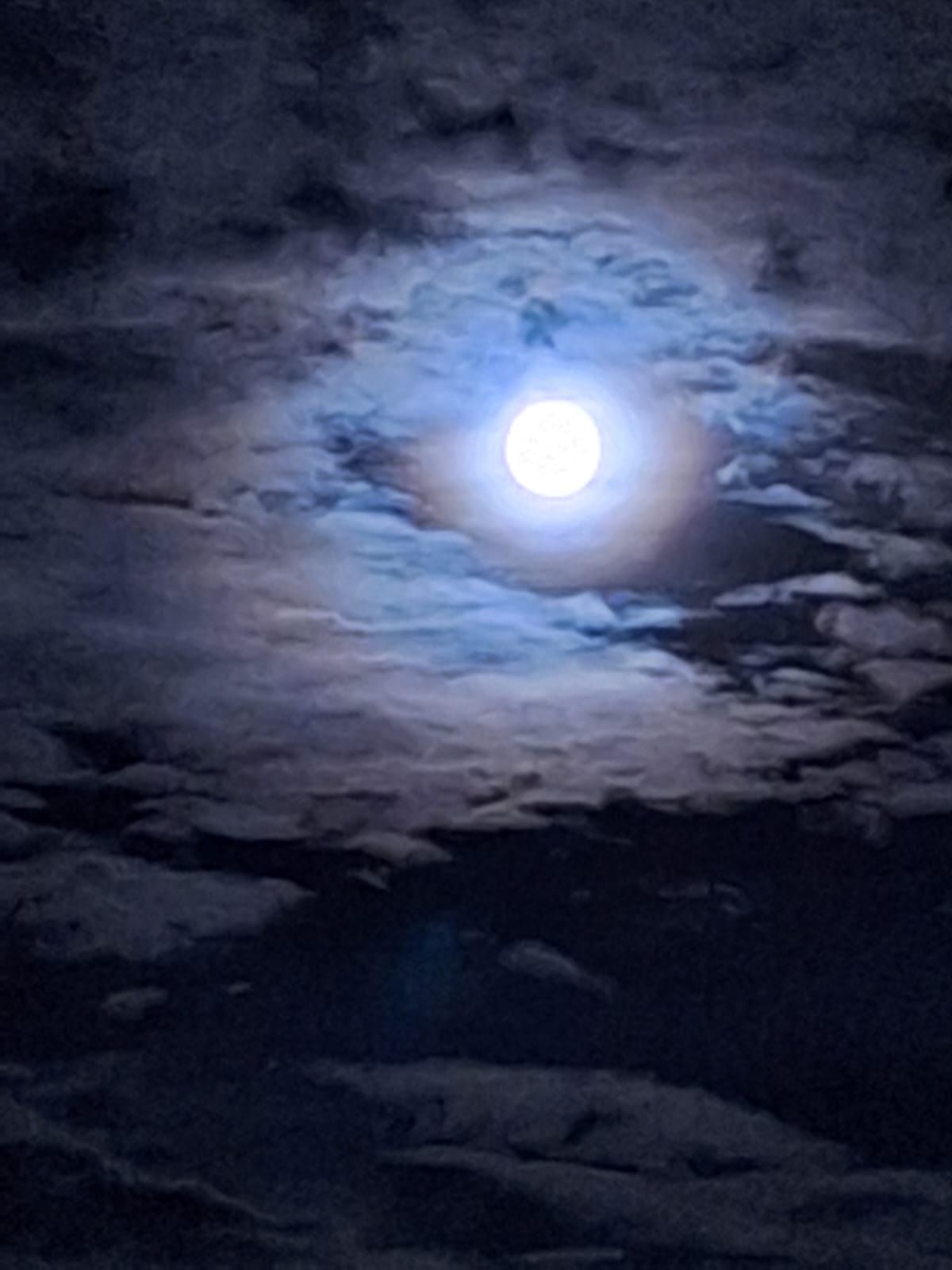 Der Bluemoon über der Bundeshauptstadt begeisterte zahlreiche Wiener.