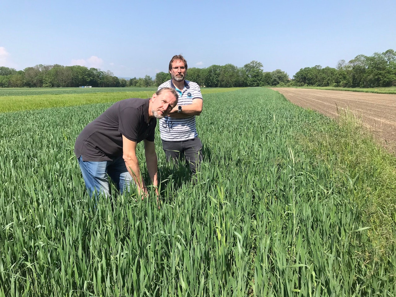 Heute.at - Ost-Umfahrung – 9 Bauern sollen jetzt enteignet werden