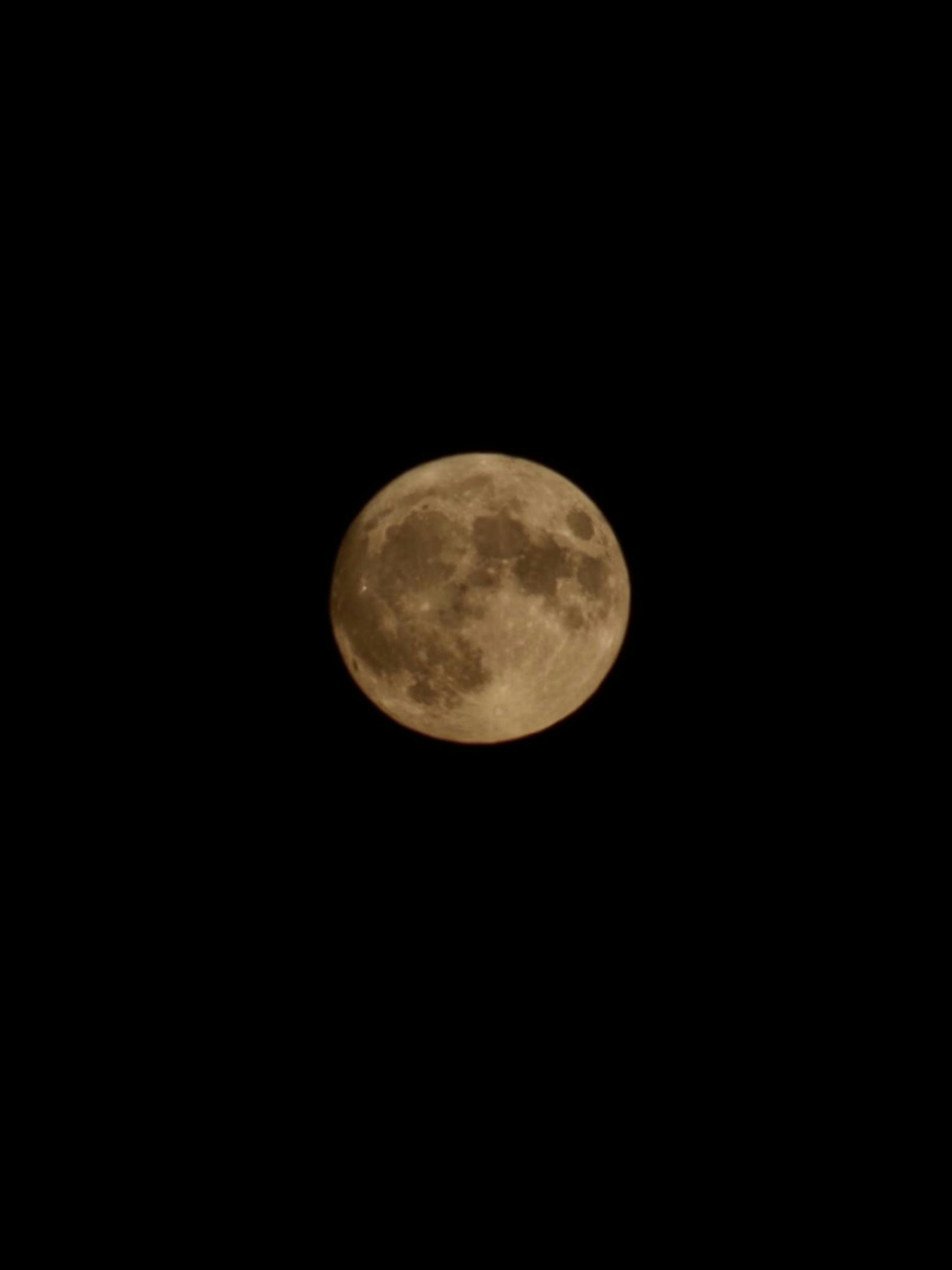 Der Bluemoon über der Bundeshauptstadt begeisterte zahlreiche Wiener.