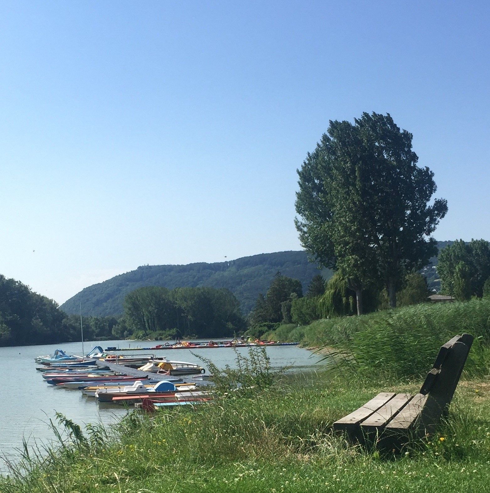Der Donau-Altarm im Strandbad Klosterneuburg bei Normalwasserstand.