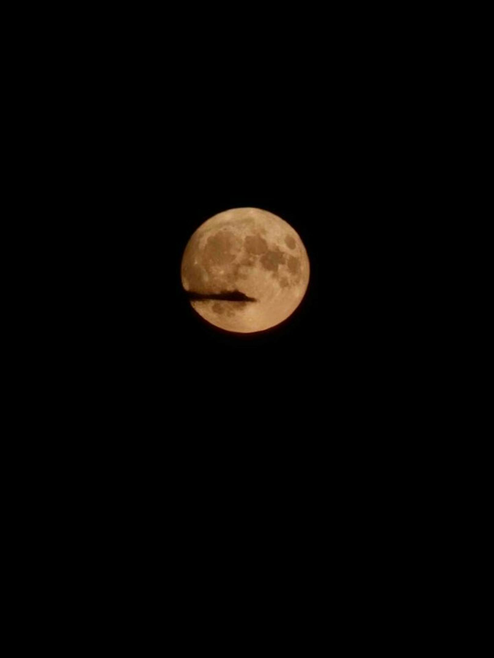 Der Bluemoon über der Bundeshauptstadt begeisterte zahlreiche Wiener.