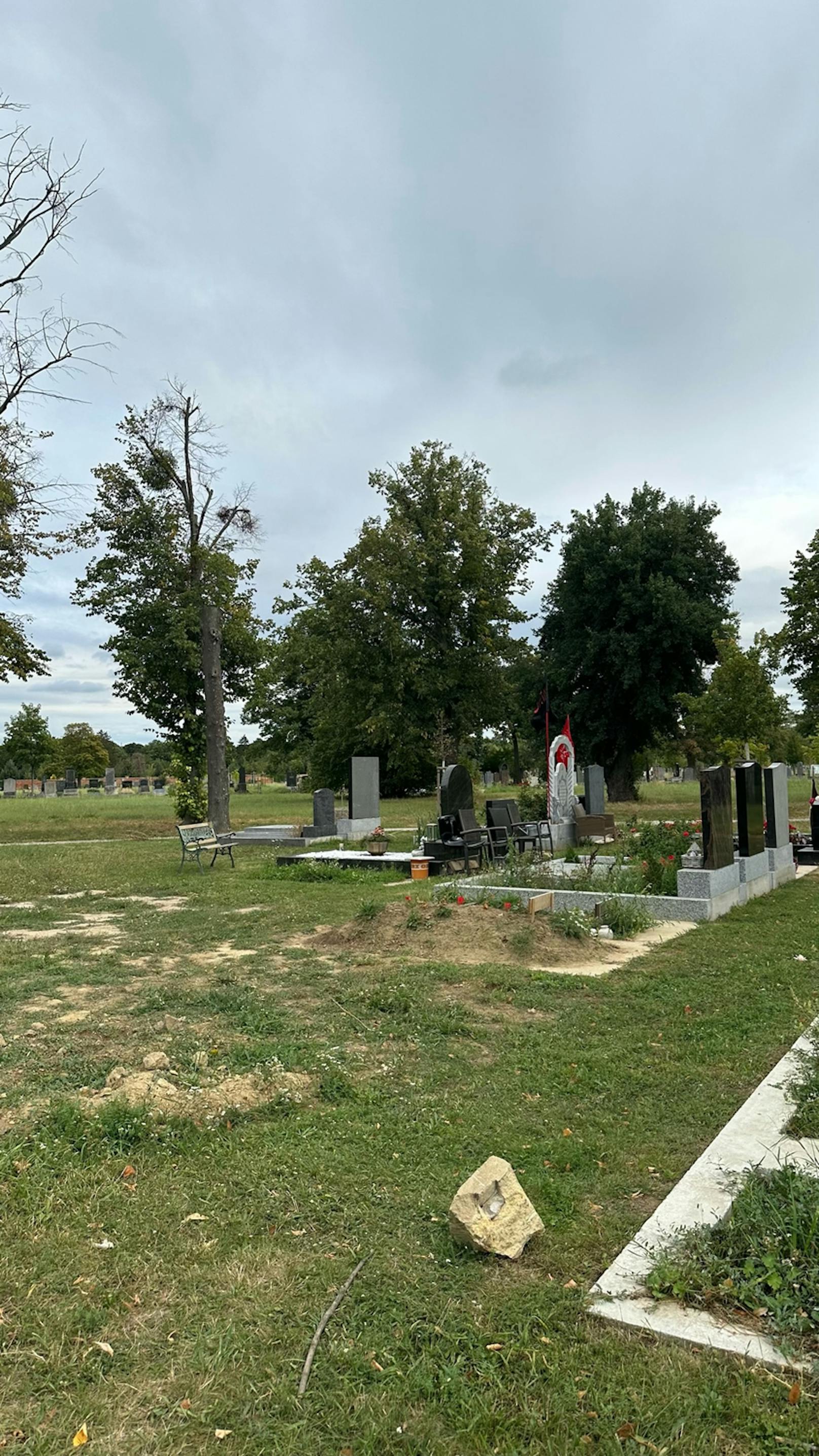 Eine Wienerin besuchte am Dienstag den Zentralfriedhof.