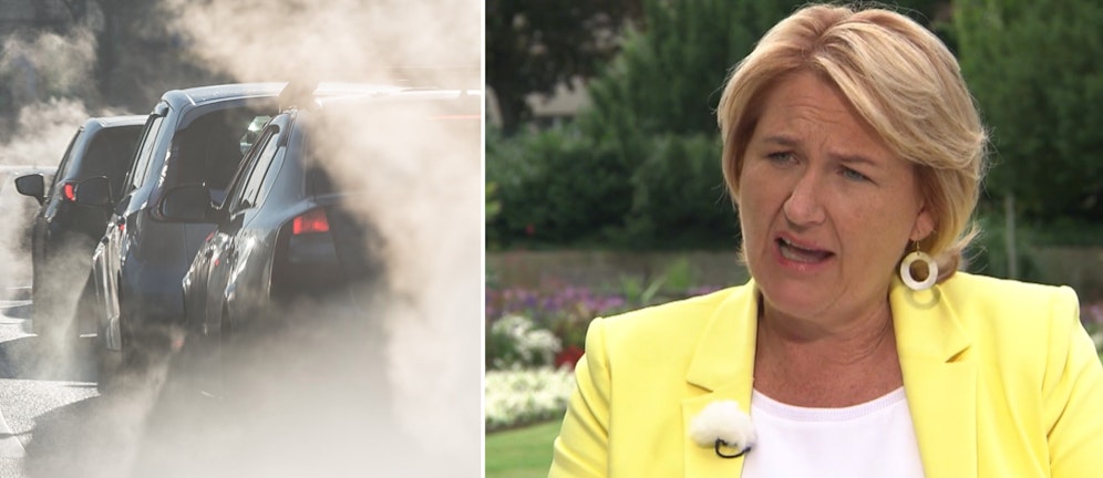 Helga Krismer forderte im ORF NÖ-Sommergespräch ein Tempolimit für Verbrenner.