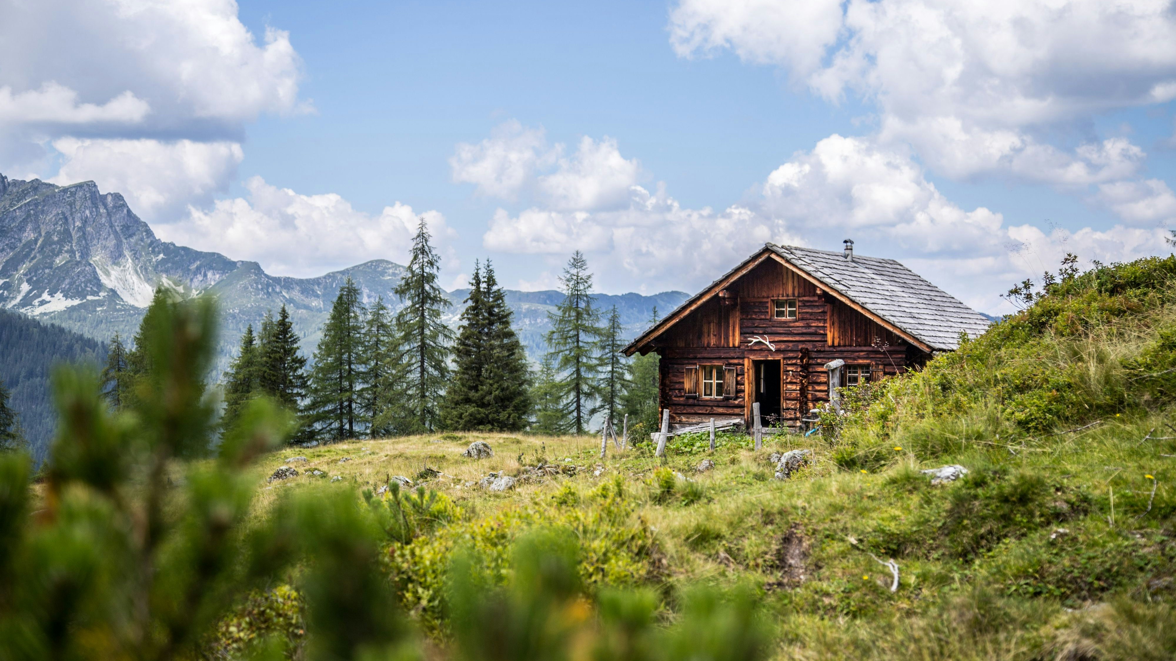 Nach einem Aufenthalt Ende Juni 2023 in eine Almhütte in Coredo erkrankte ein zweijähriges Kind schwer (Symbolbild)..