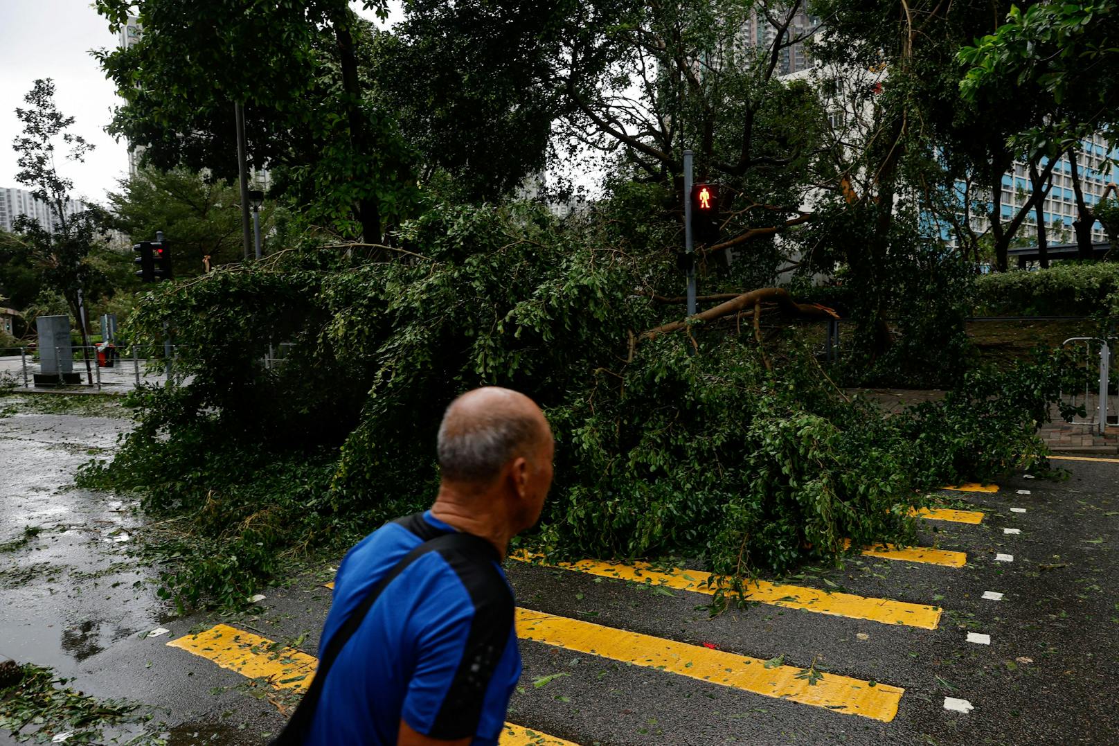 Wenig später wird es dann gefährlich: der stärkste Wirbelsturm in der Region seit 70 Jahren erreichte die Metropole Hongkong.&nbsp;