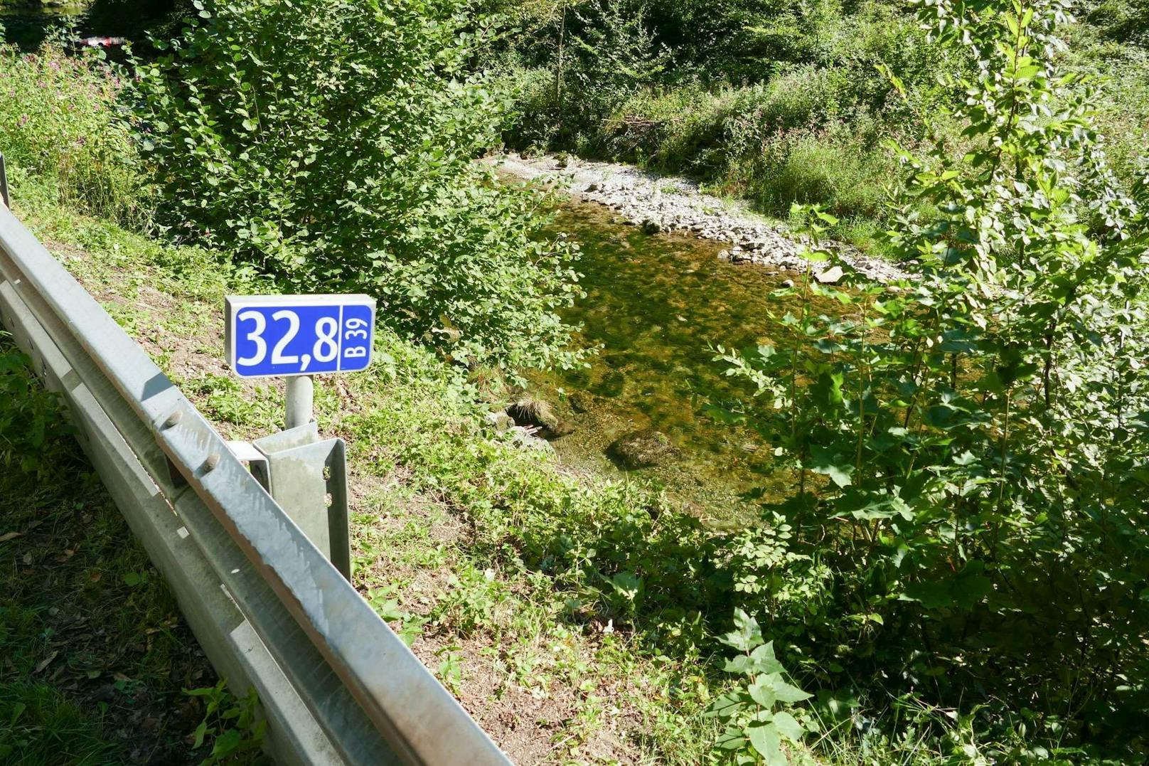 Bikerin (26) stürzte in Pielach