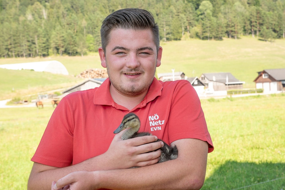 Mario Rotheneder fand Skipi im Lager, nahm das Baby-Entlein zu sich nach Hause und zog es mit der Pipette auf.