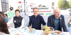 Ex-Minister Anschober demonstriert gegen Nehammer