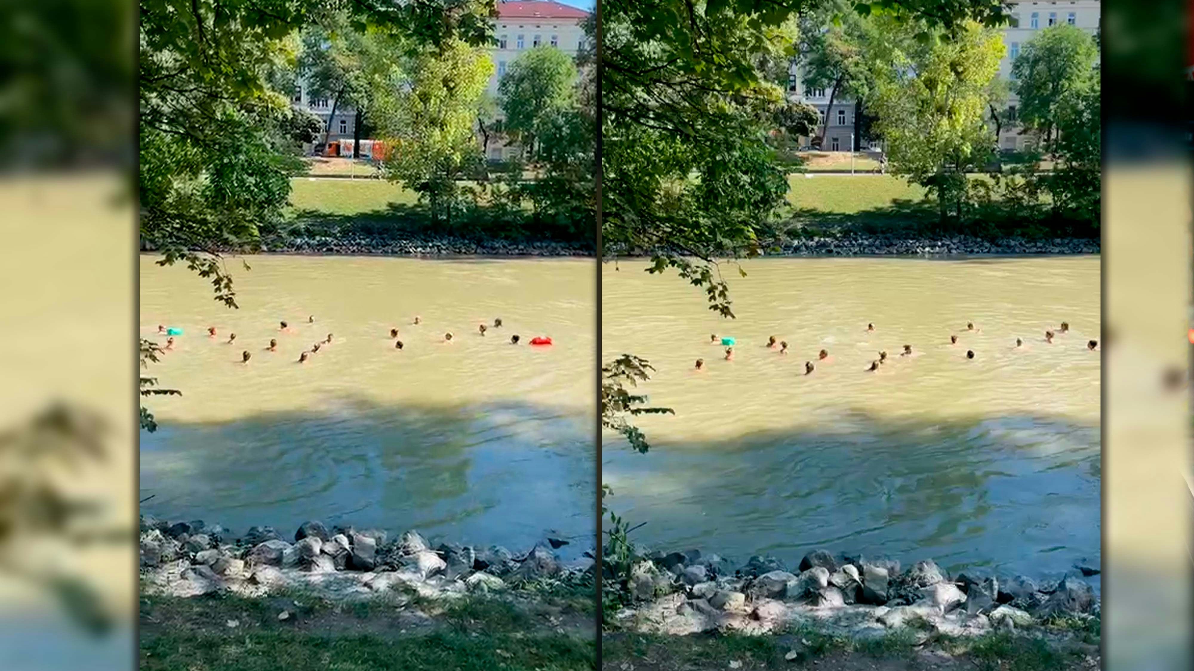 Badespaß im Wiener Donaukanal