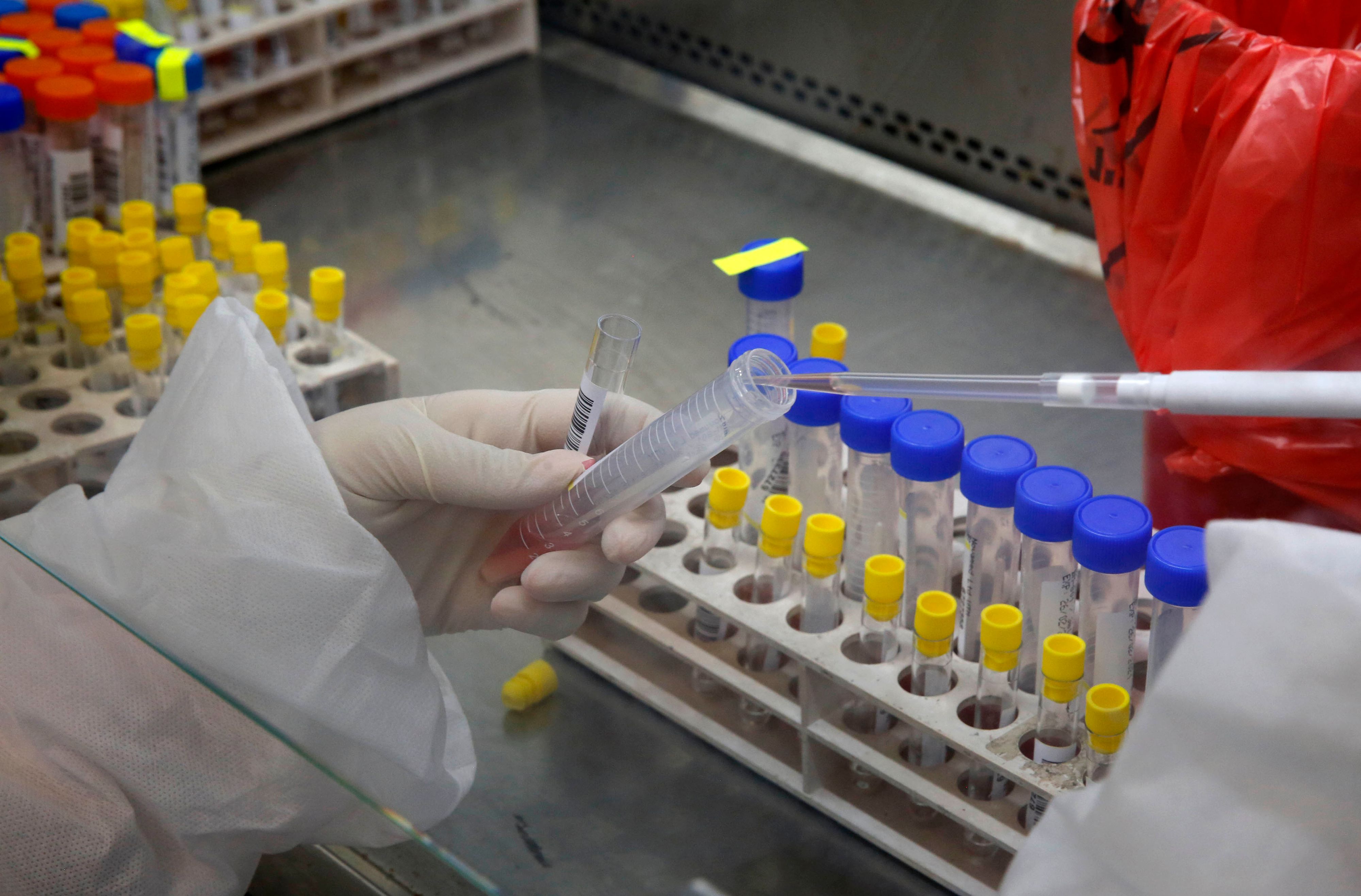 Download von www.picturedesk.com am 07.09.2023 (12:33).  (201006) -- OR YEHUDA, Oct. 6, 2020 (Xinhua) -- A medical staff member conducts tests for coronavirus at a Leumit Health Care Services laboratory in central Israeli city of Or Yehuda on Oct. 5, 2020. The number of COVID-19 cases in Israel rose to 272,309 on Monday after 5,534 new ones were added, the Ministry of Health said. (Photo by Gil Cohen Magen/Xinhua).Xinhua News Agency / eyevine :...http://. - 20201005_PD10769 - Rechteinfo: Rights Managed (RM)