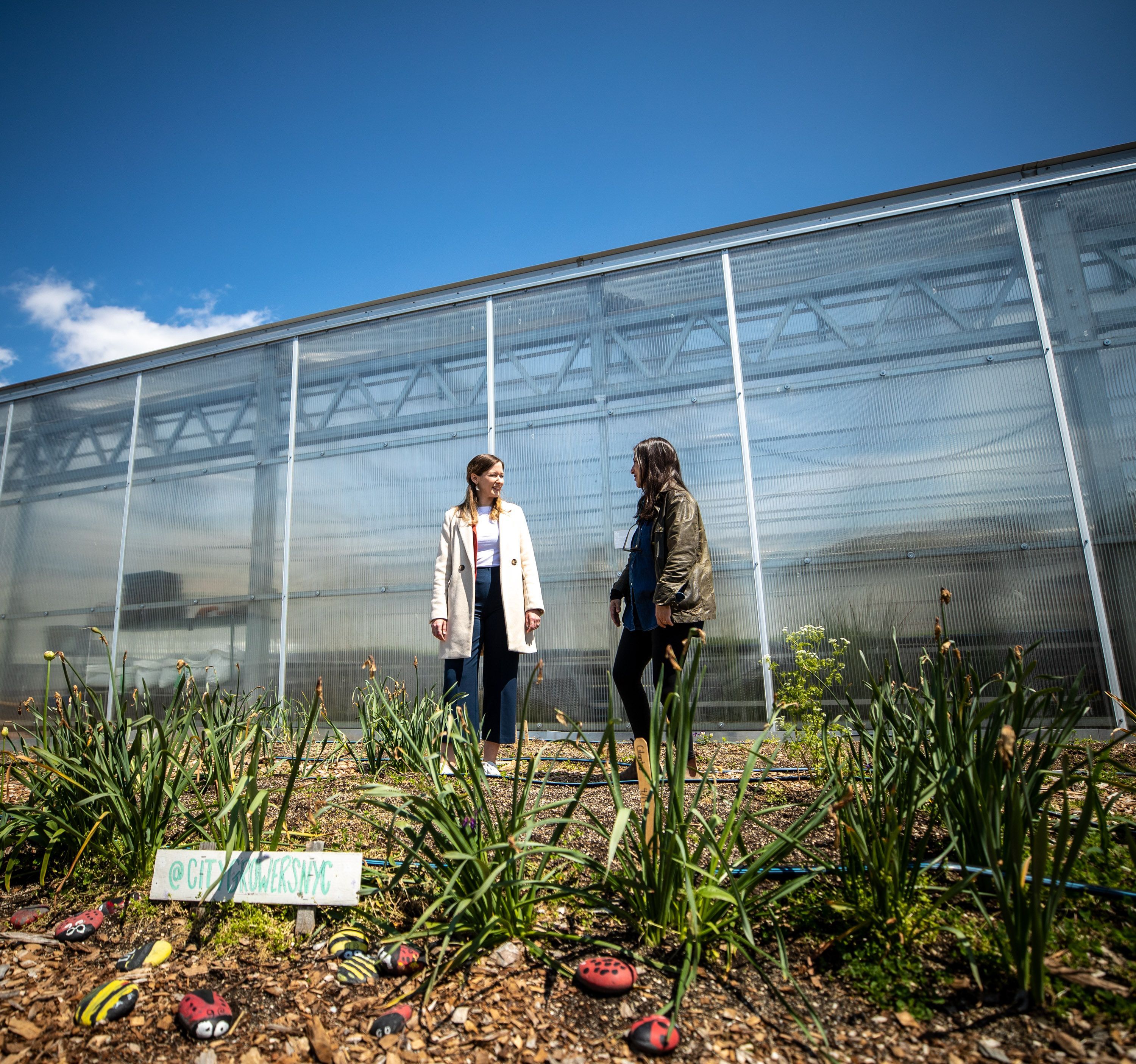 Im April reiste Staatssekretärin Claudia Plakolm nach New York, LA und San Francisco. 