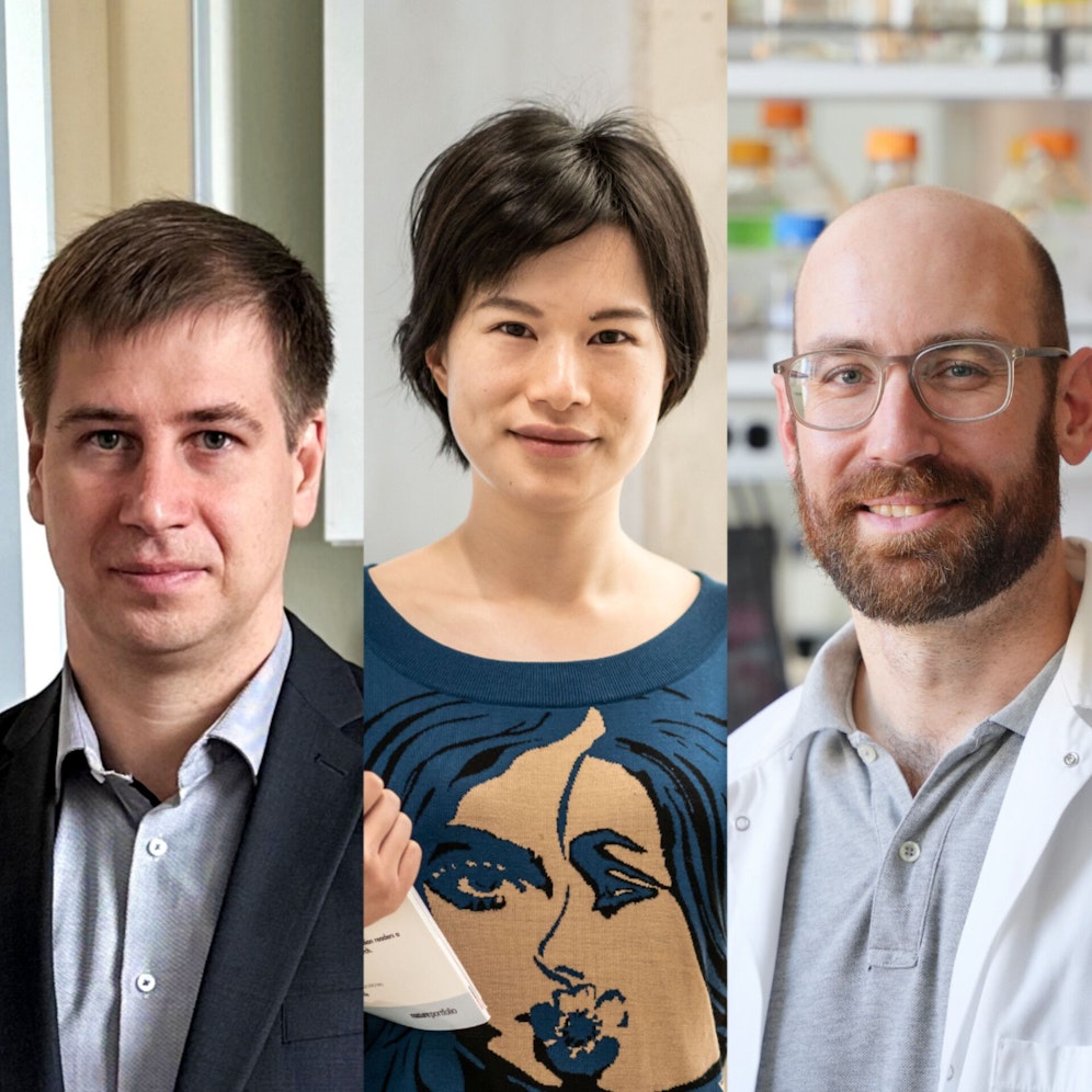 Forschung in NÖ: Drei Preisträger forschen an der Klosterneuburger Elite-Uni ISTA.