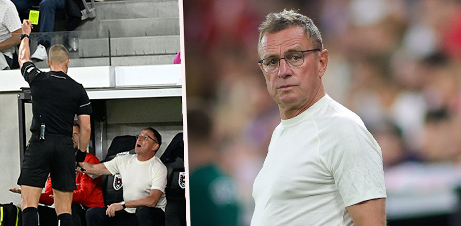 ÖFB-Teamchef Ralf Rangnick kassierte Gelb. 