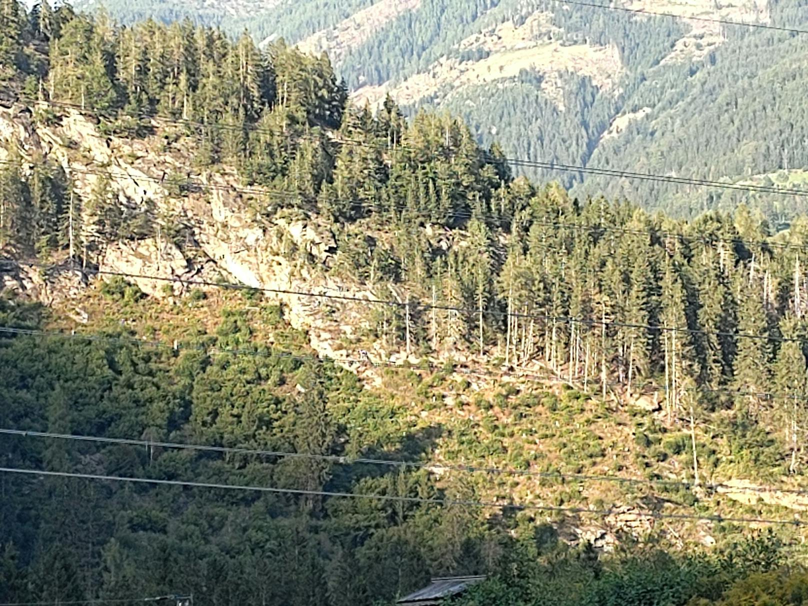 Tagsüber gibt es schön scharfe Bilder, die zu etwas zu starker Aufhellung und zu blasseren Farben tendieren. Zoom-Stufe 5.