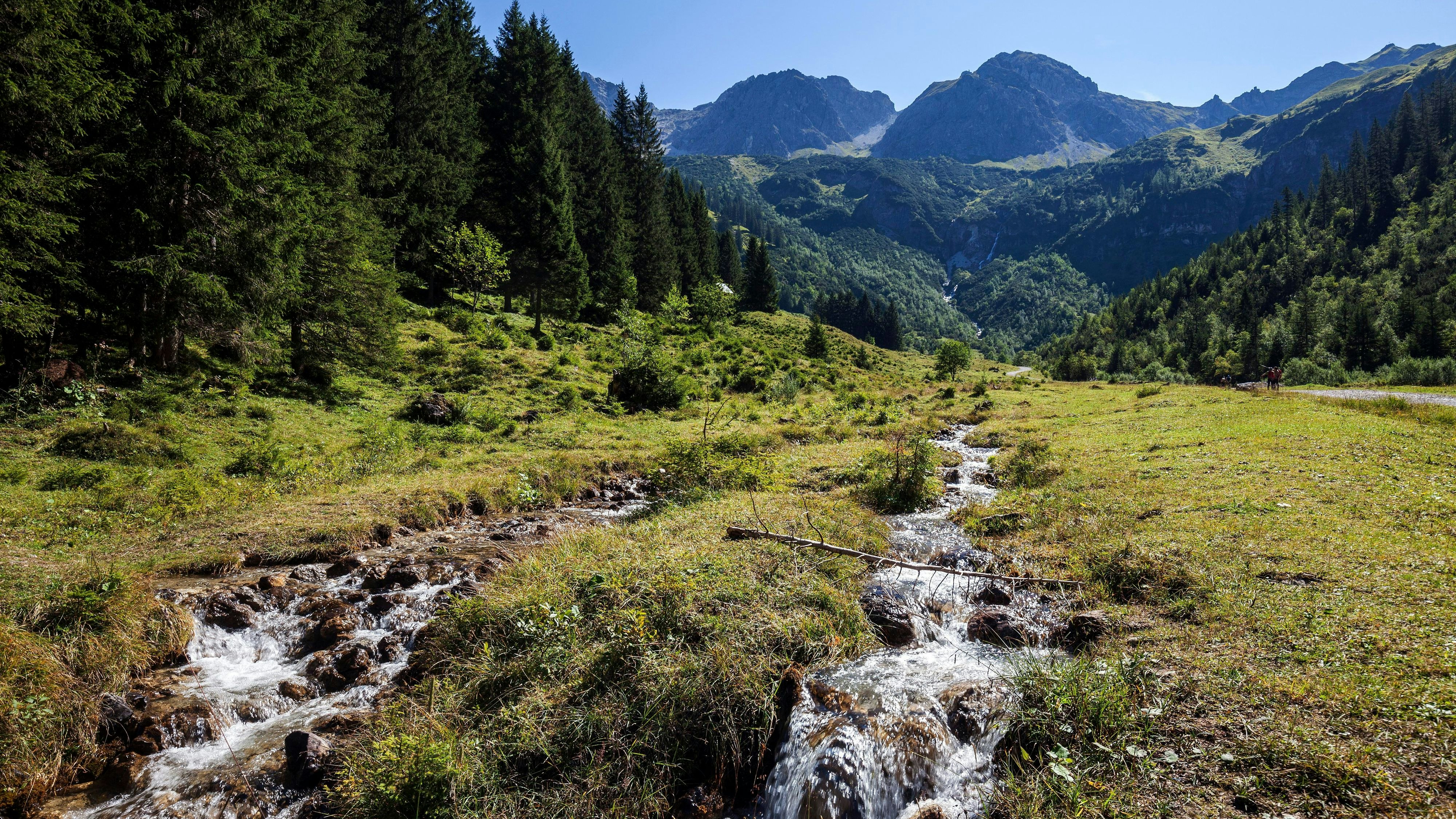 Der Unfall passierte im Wandergebiet Wildental in Vorarlberg.