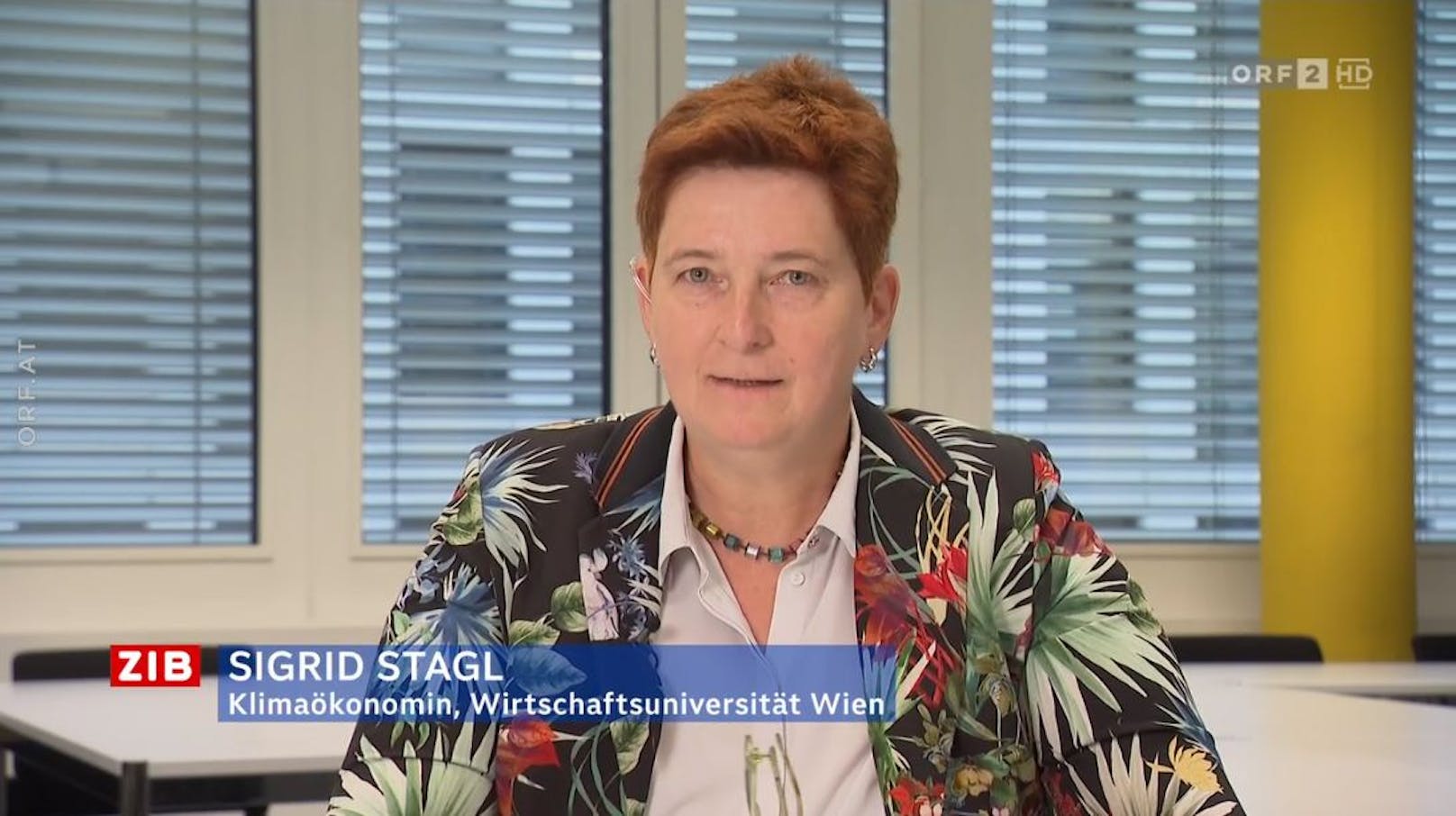 Umweltökonomin Sigrid Stagl von der WU Wien in der ZIB2 mit Armin Wolf am 12. September 2023.