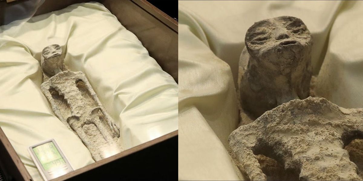 Die aufgebahrten Körper (Bild) sollen 1.000 Jahre alt sein.