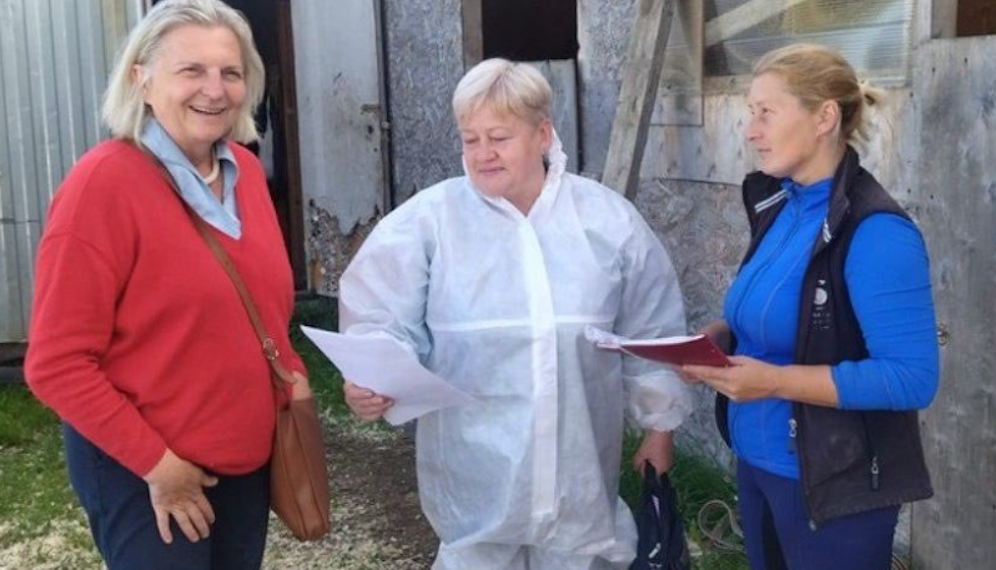 Endlich an ihrem Herzensort: Karin Kneissl nach der erfolgreichen Überstellung ihrer Ponys nach Russland.