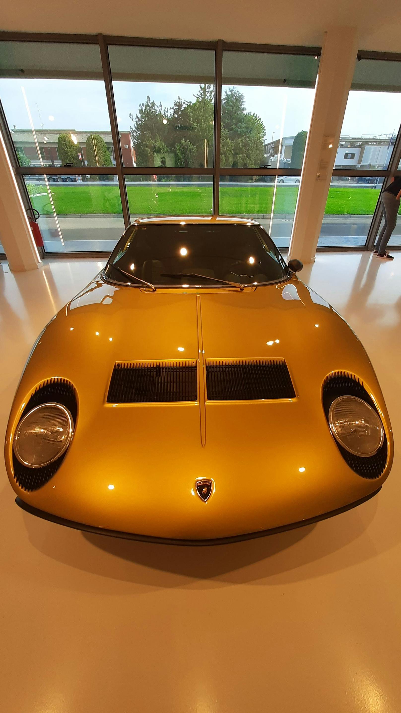 1966 kam der Miura auf den Markt und zählte mit seinem V12-Aggregat zu den schnellsten Fahrzeugen seiner Zeit. Sein Namensgeber war Antonio Miura, der den Kampfstier Murciélago zur Zucht verwendete.&nbsp;