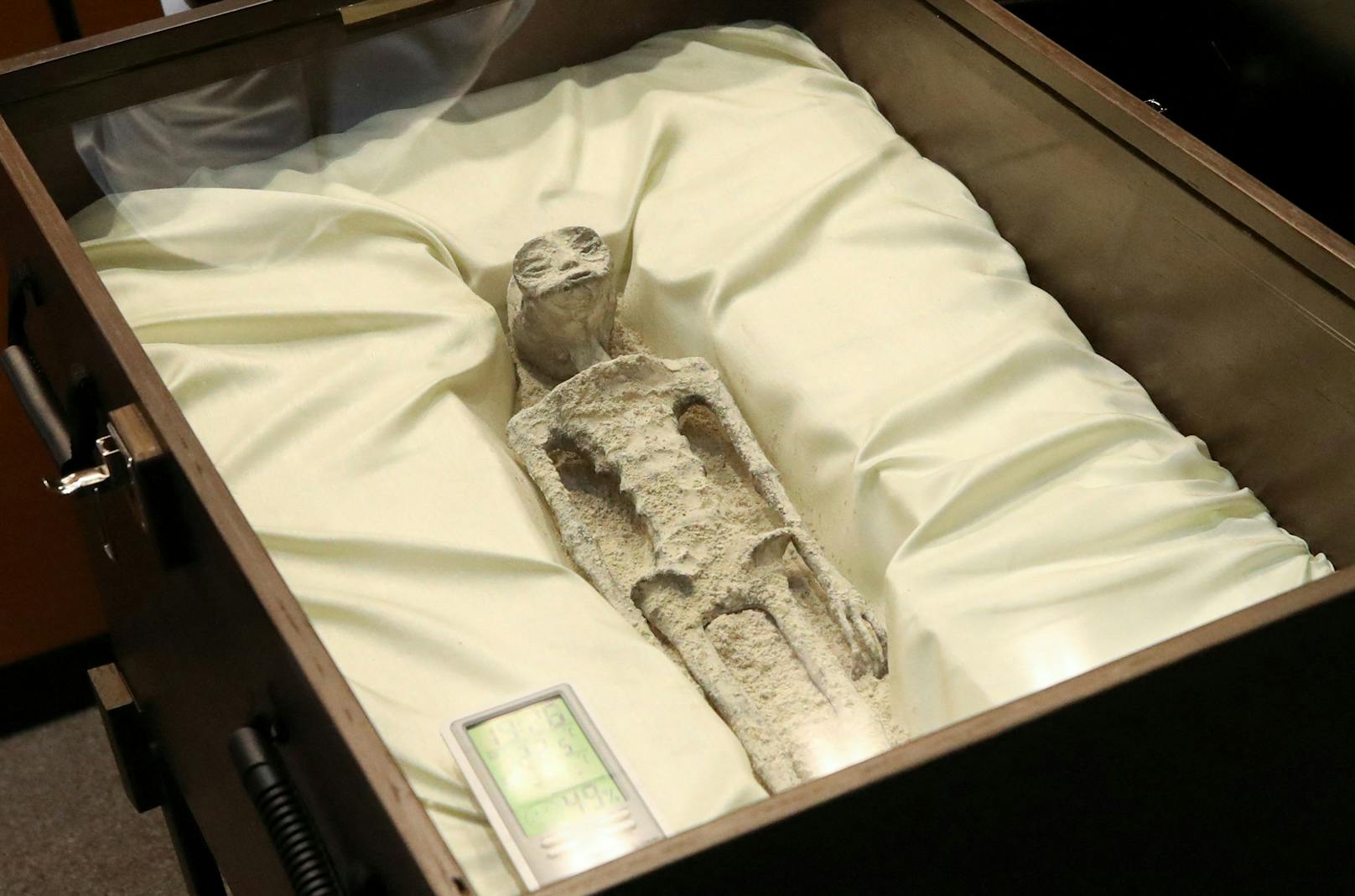 Die beiden kleinen angeblichen außerirdischen Leichen wurden in Fensterkästen präsentiert. Sie seien in Cusco (Peru) in einer Algenmine in versteinertem Zustand entdeckt worden.&nbsp;