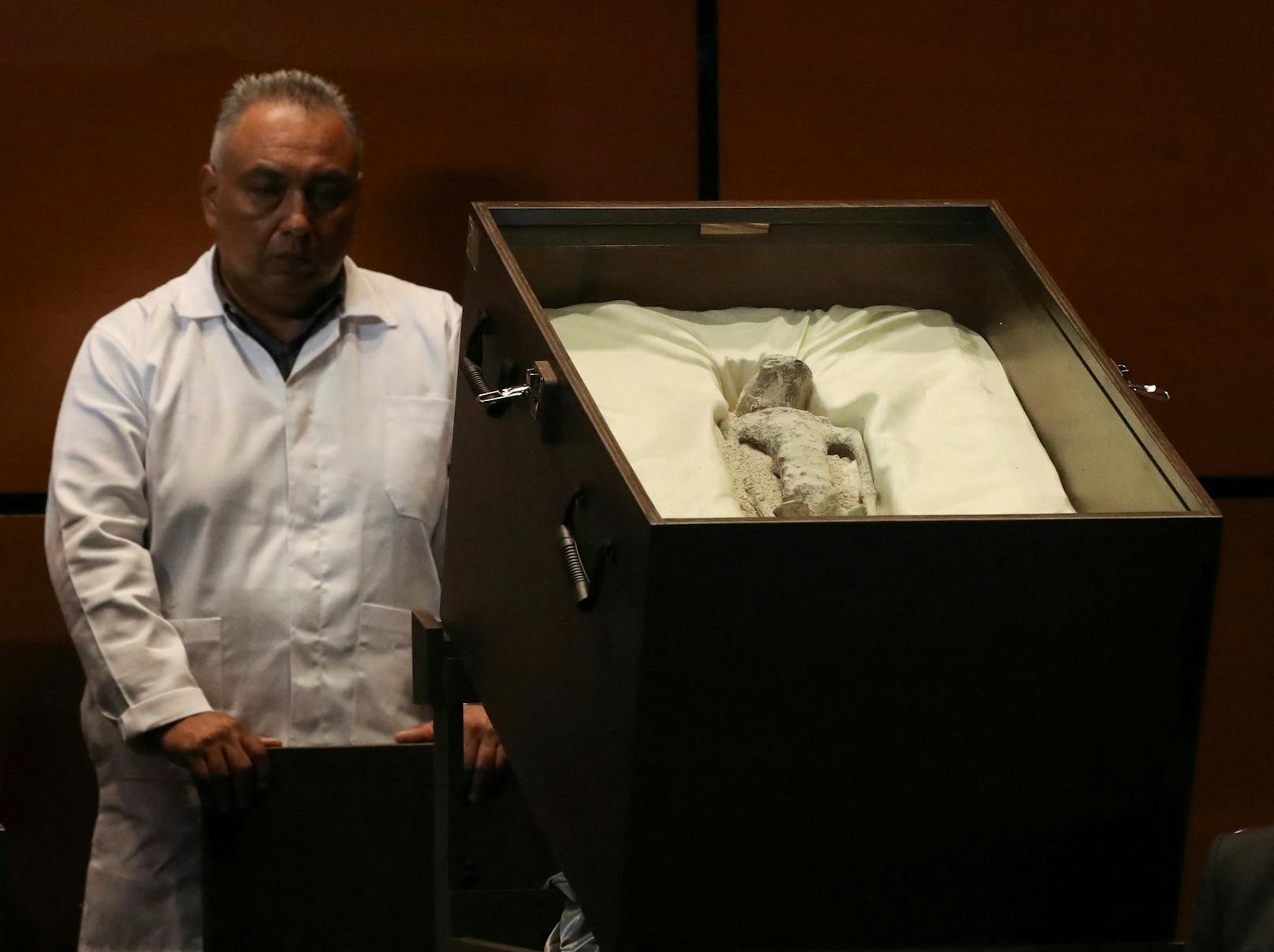 Vor dem mexikanischen Kongress haben Forscher erstmals zwei angeblich "nicht-menschliche" Körper präsentiert.&nbsp;