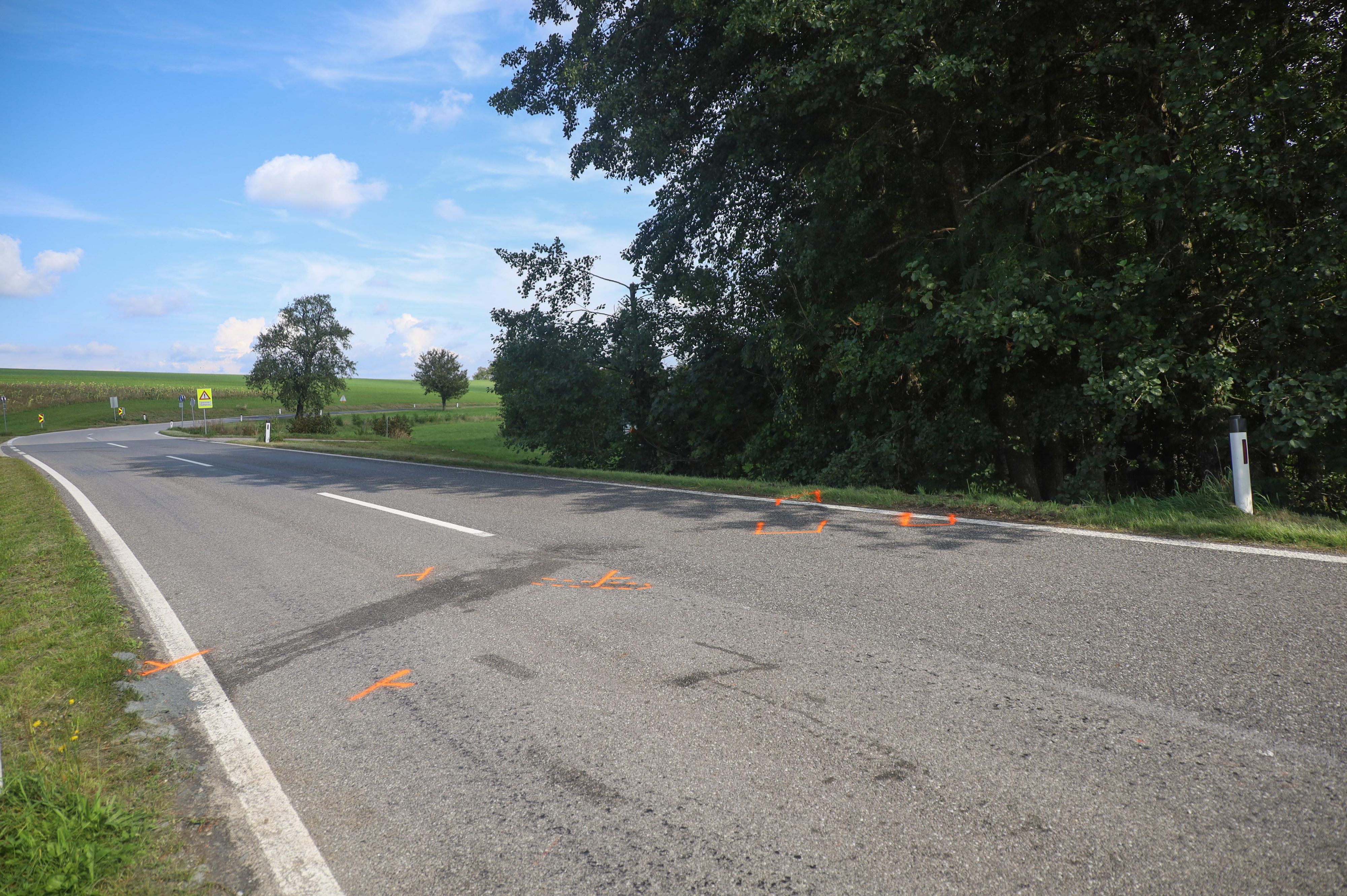 Der Lenker erlag im Krankenhaus seinen Verletzungen.