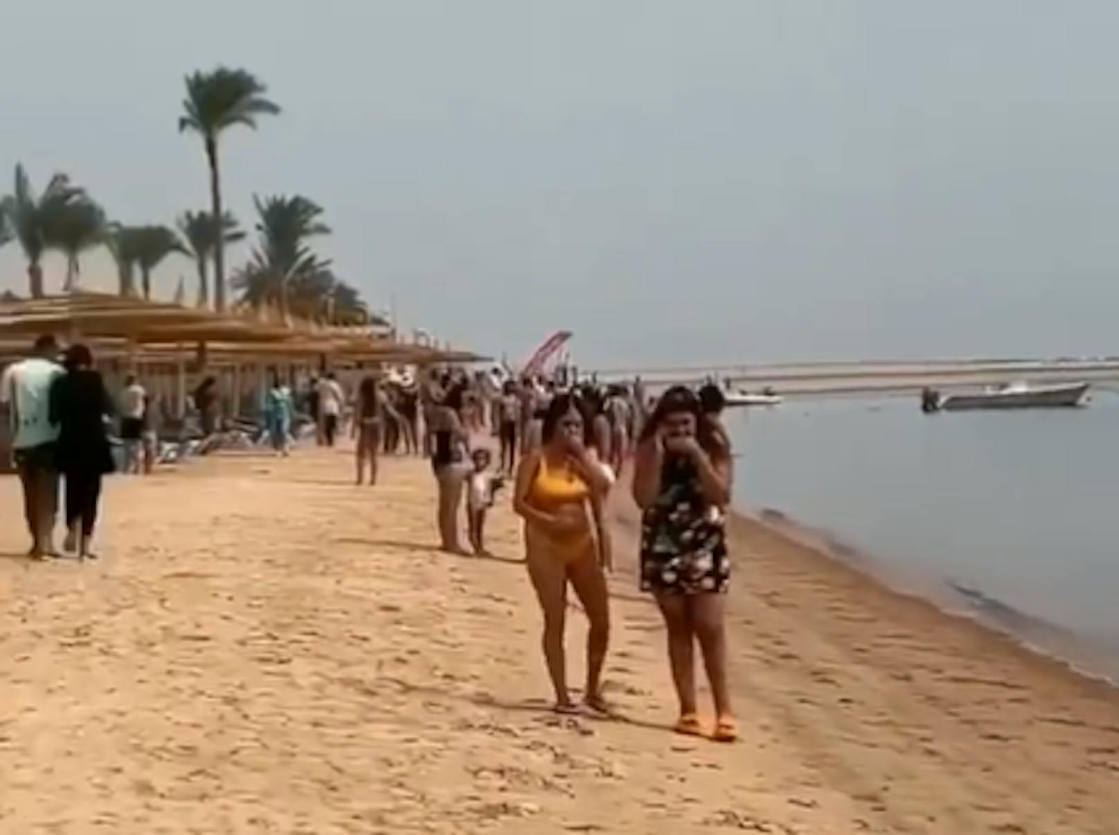 Hai-Attacke an Hotel-Strand – Touristin verliert Arm