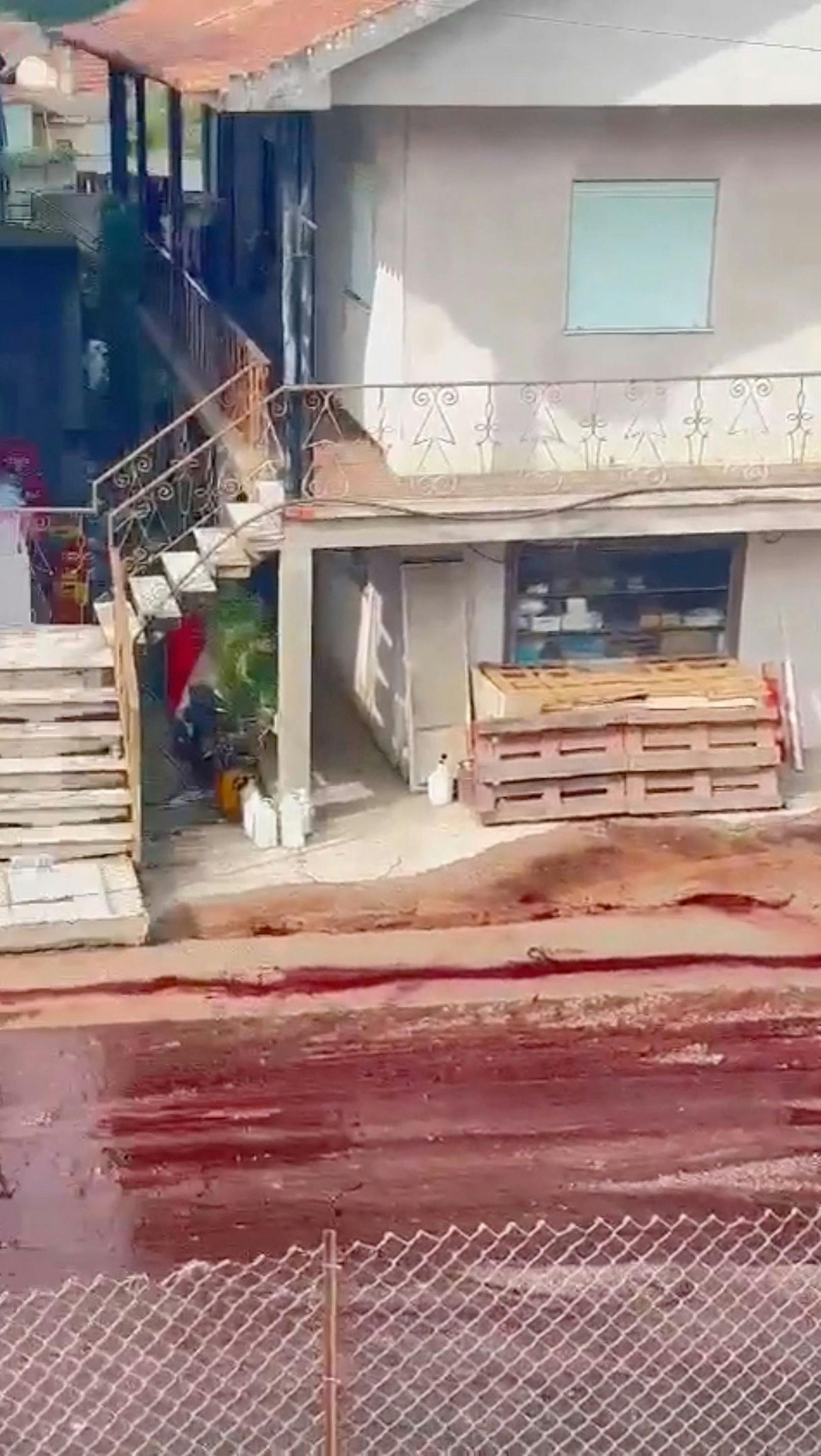 Was für ein Anblick: 2,2 Millionen Liter Rotwein flossen am Wochenende durch das portugiesische Dorf São Lourenço do Bairro.