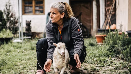 Seit mehr als 40 Jahren kümmert sich die Seniorin Eveline Treischl um 300 Ziegen und Schafe.