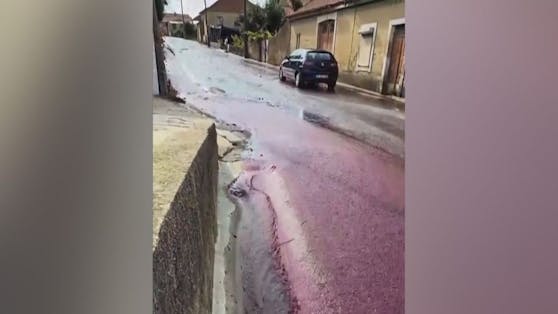 2,2 Millionen&nbsp;Liter Rotwein flossen durch die Straßen von São Lourenço do Bairro.