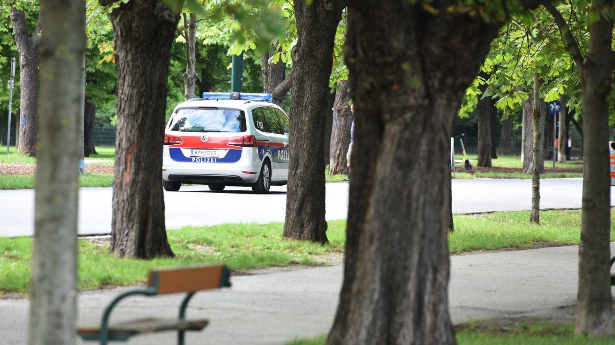 Die Beteiligten konnten von der Wiener Polizei in einem Park gefasst werden. (Symbolbild)