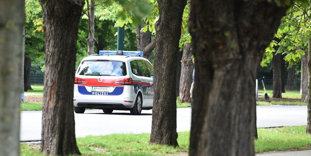 Die Beteiligten konnten von der Wiener Polizei in einem Park gefasst werden. (Symbolbild)
