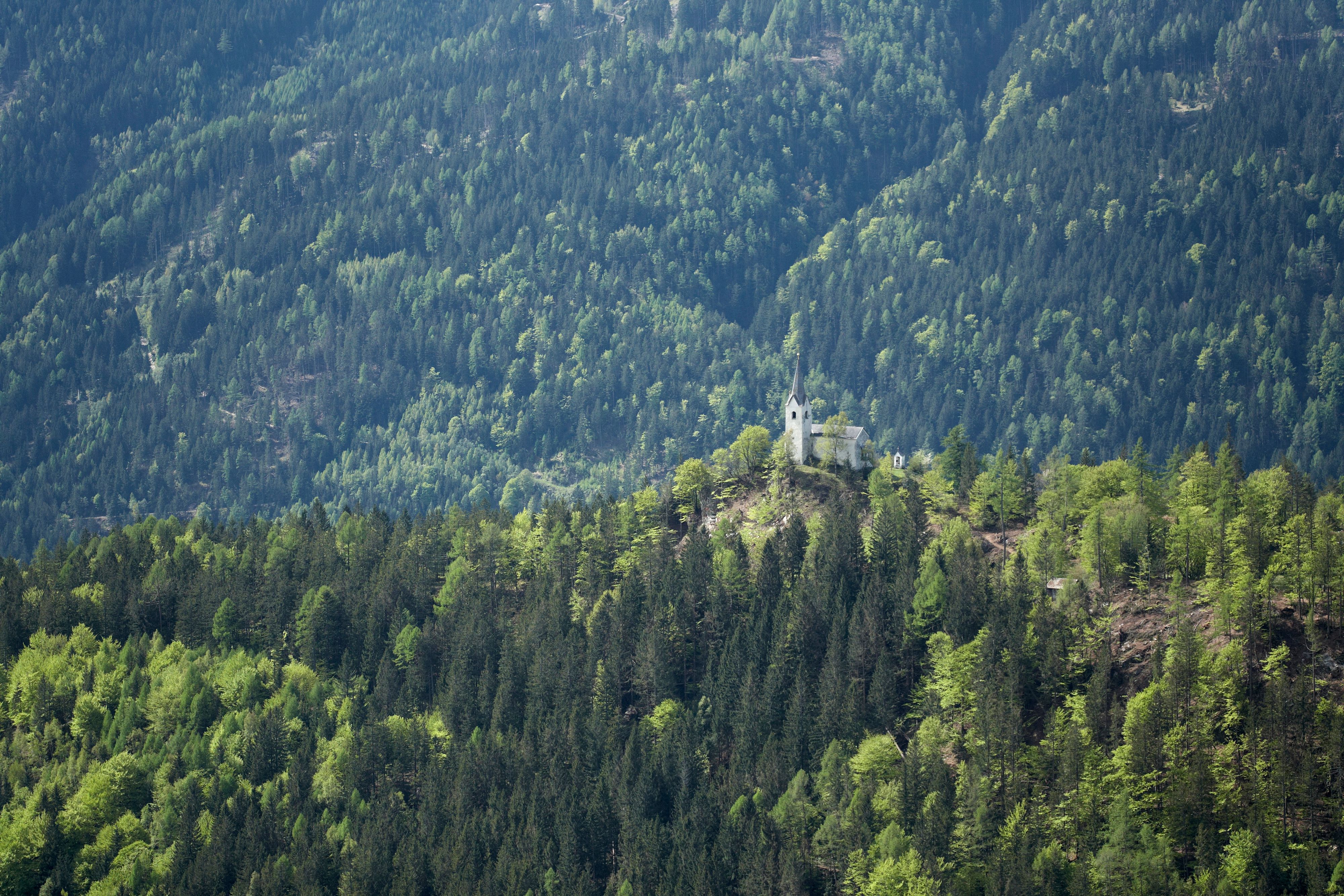 Ein 39-Jähriger ist beim Lauftraining am Danielsberg (K) tödlich verunglückt.