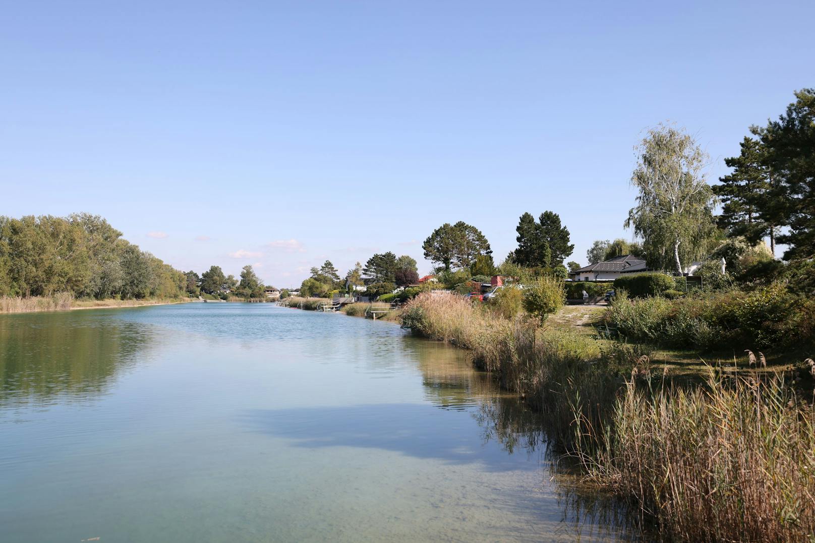 Am Ufer dieses Teiches erwarb der Donaustädter Bezirksvorsteher Ernst Nevrivy (SPÖ) in Wien ein Grundstück.