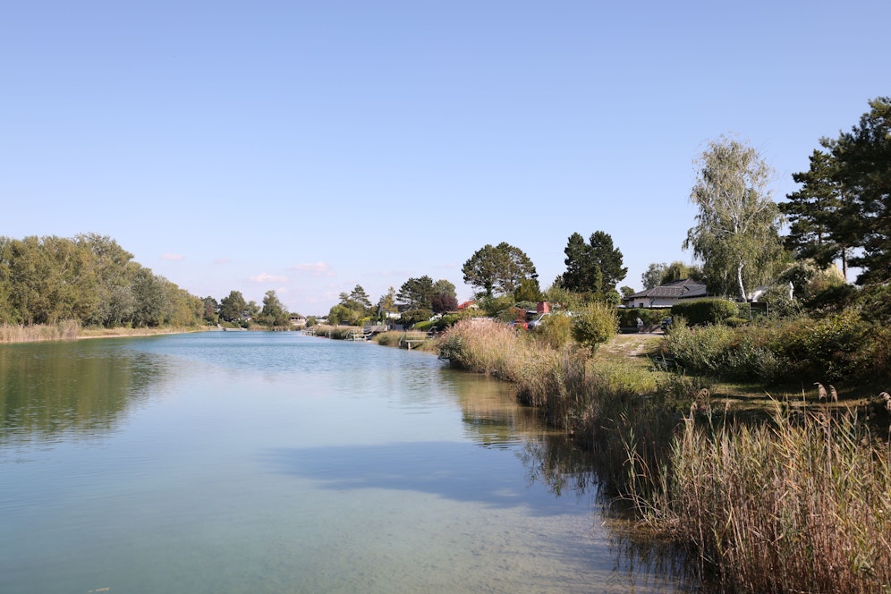 Bezirkschef Ernst Nevrivy hat Ärger wegen seinem Kleingarten in Wien-Donaustadt. Die ÖVP fordert nun eine Prüfung des Stadtrechnungshofs,