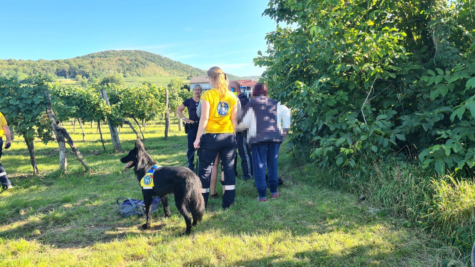 Rettungshunde Niederösterreich im Einsatz: Erfolgreiche Suchaktion