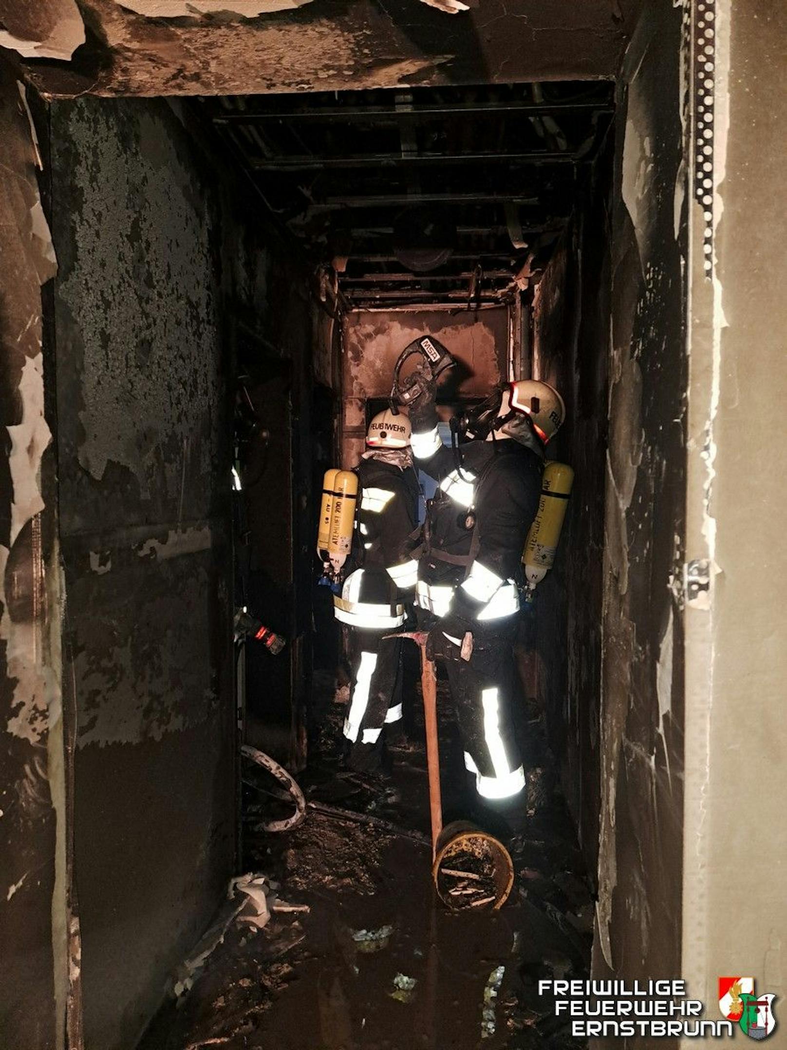 Über Leitern wurden die Personen aus dem Haus gerettet.