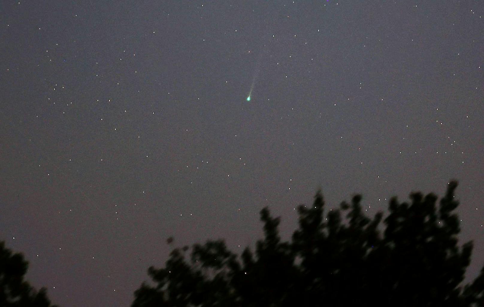 Am 8. September hat der Komet eine Helligkeit von 4,8 mag erreicht, was ausreicht, um ihn ohne Teleskop zu beobachten. Der Komet wird einige Stunden vor Sonnenaufgang im Sternbild Löwe sichtbar sein. In den kommenden Tagen wird er noch heller werden.