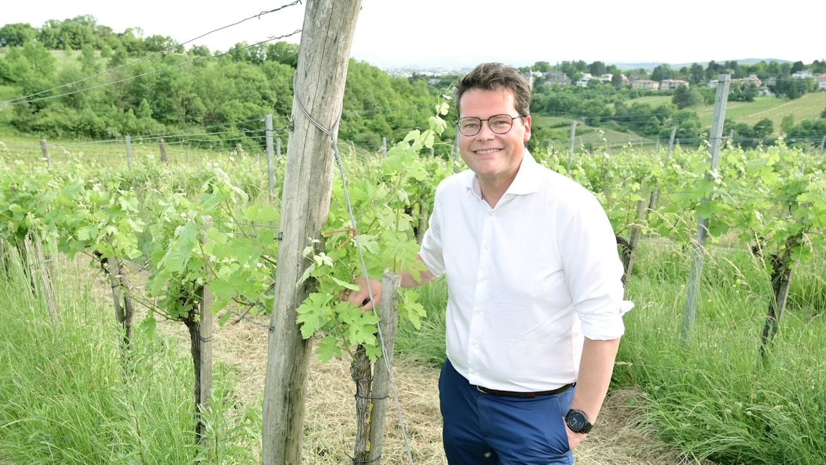 Klimastadtrat Jürgen Czernohorszky (SPÖ) lädt alle Wiener zum Weinwandertag am kommenden Wochenende.