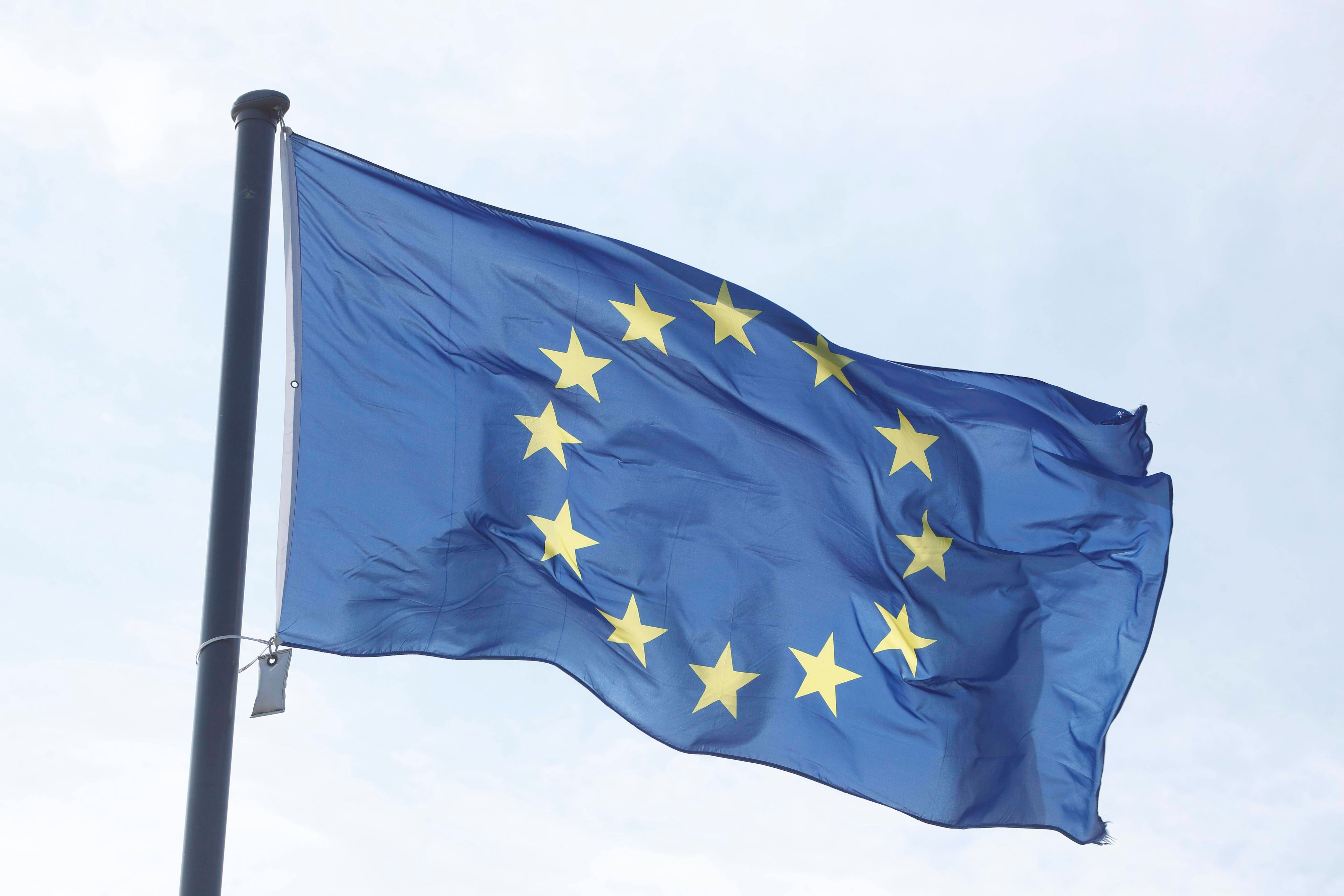 Österreich lehnt die neuen EU-Führerscheinpläne klar ab. (Symbolbild)