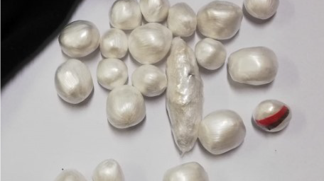 Das Suchtgift wurde von der Polizei sichergestellt.