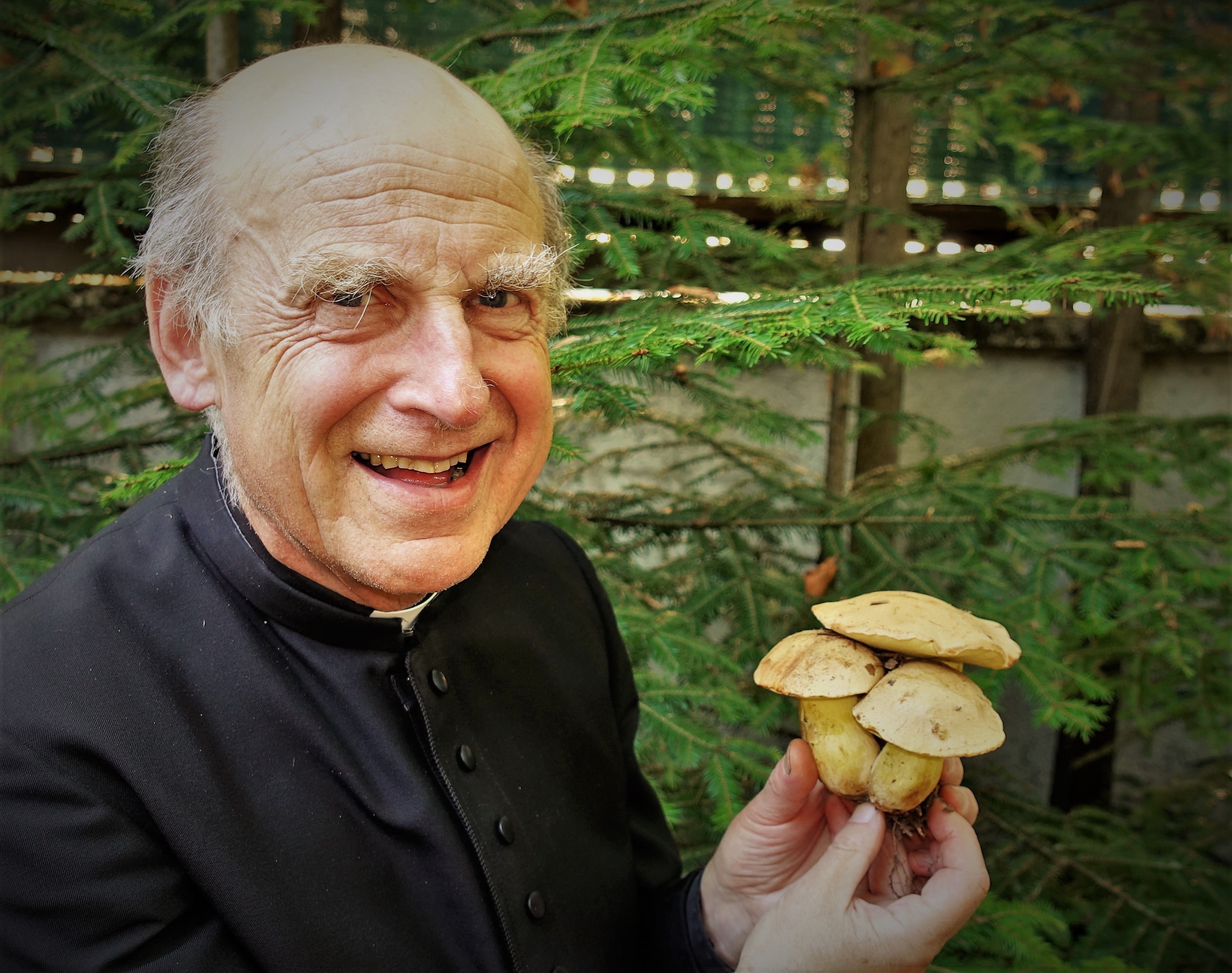 Schwammerlaltar 2023 wieder persönlich zu besichtigen 