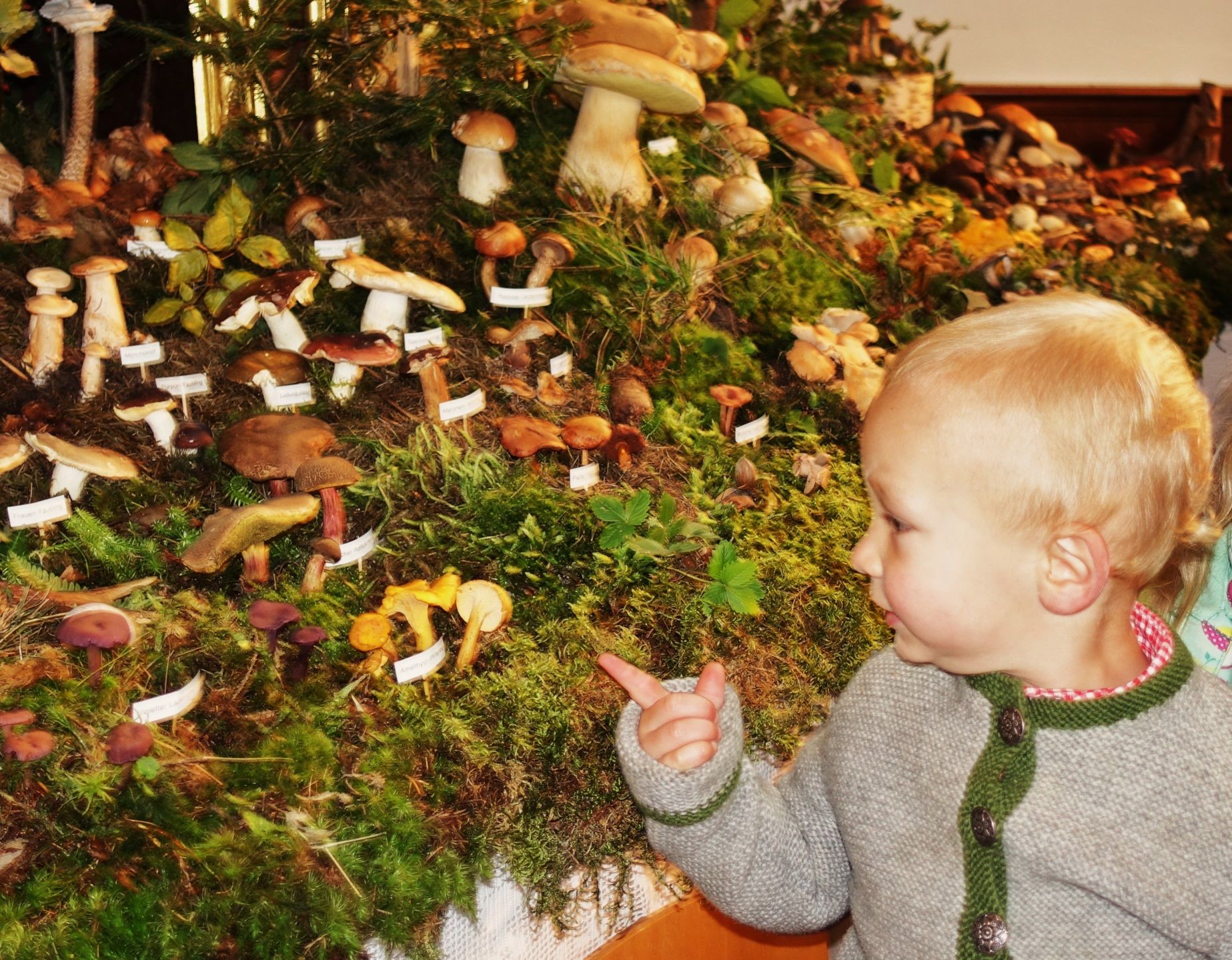 Von 8 bis 17 Uhr sind die Türen der Hauskapelle für Besucher offen.
