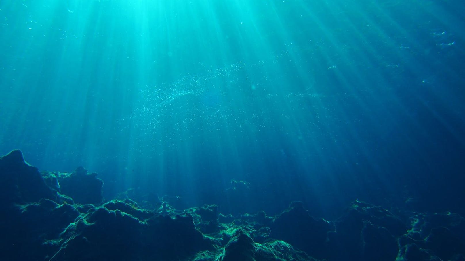 Ein internationales Forscherteam fand die Phagen im Sediment des Marianengrabens, das aus einer Tiefe von 8.900 Metern aufgetaucht war.