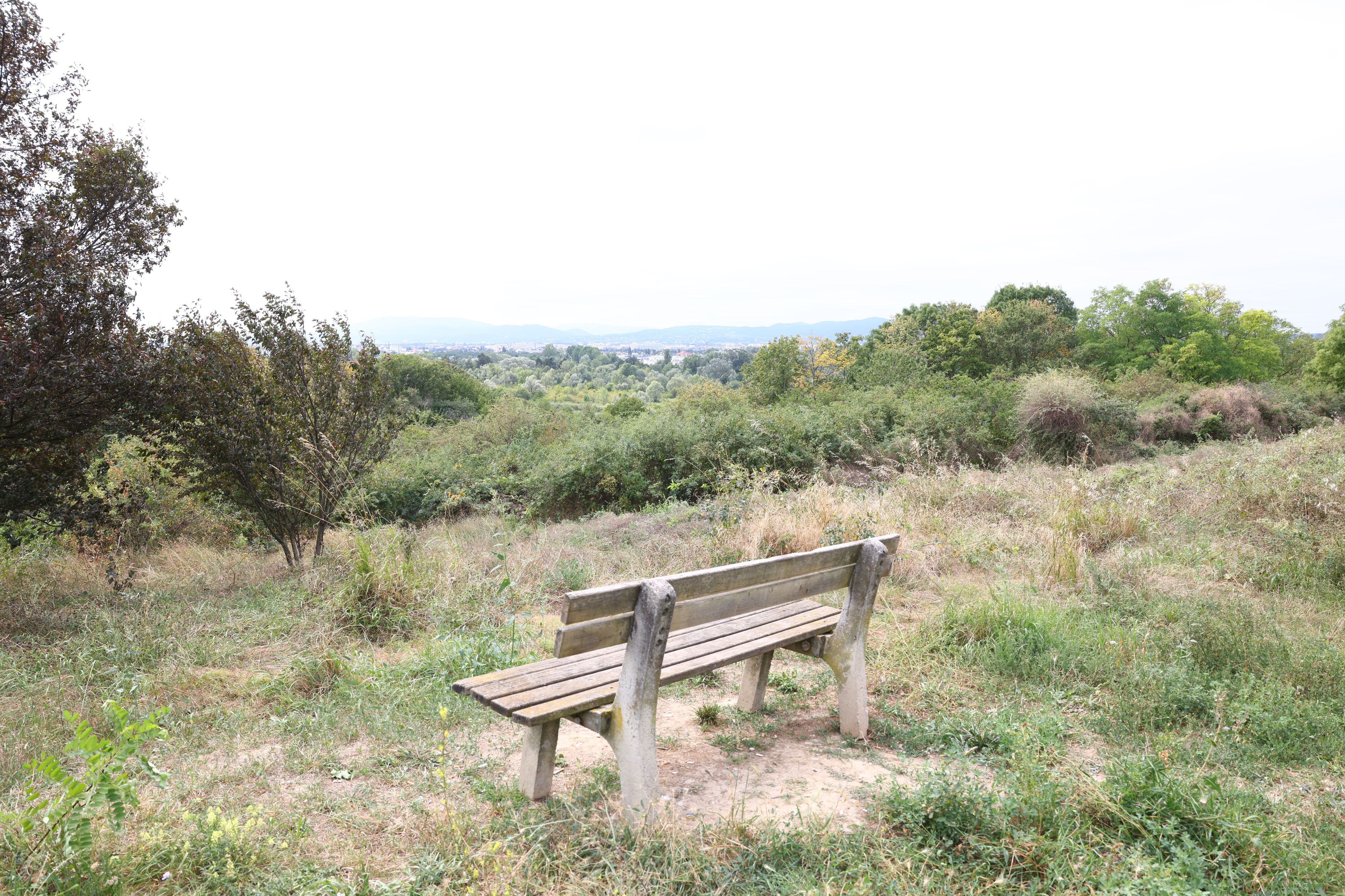 Hier wurden Ende August die Überreste eines 44-Jährigen gefunden. 
