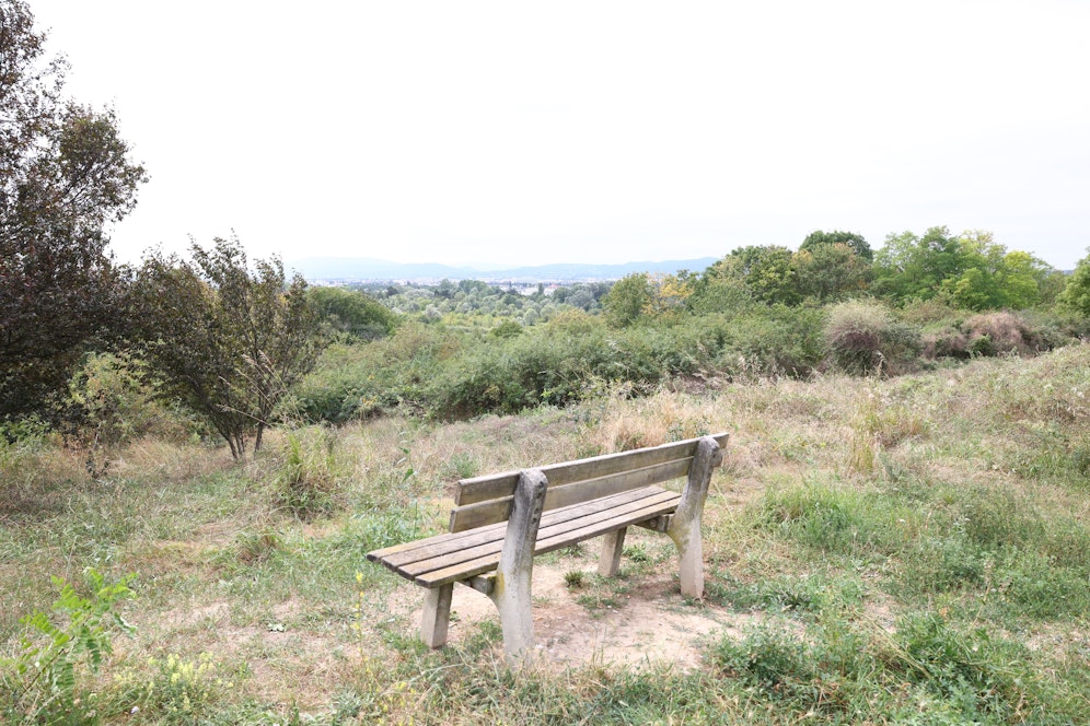 Hier wurden Ende August die Überreste eines 44-Jährigen gefunden. 
