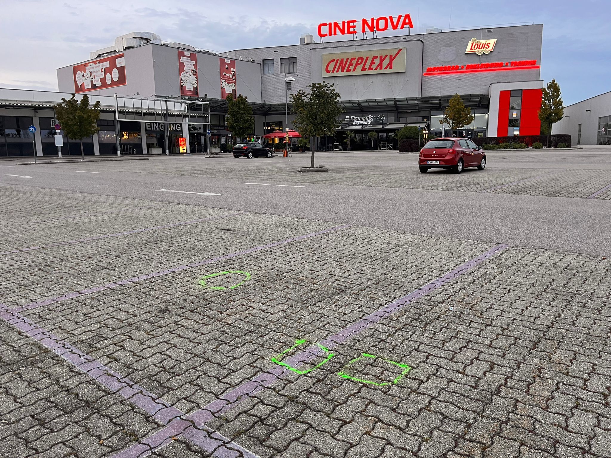 Mordalarm in Wr. Neustadt