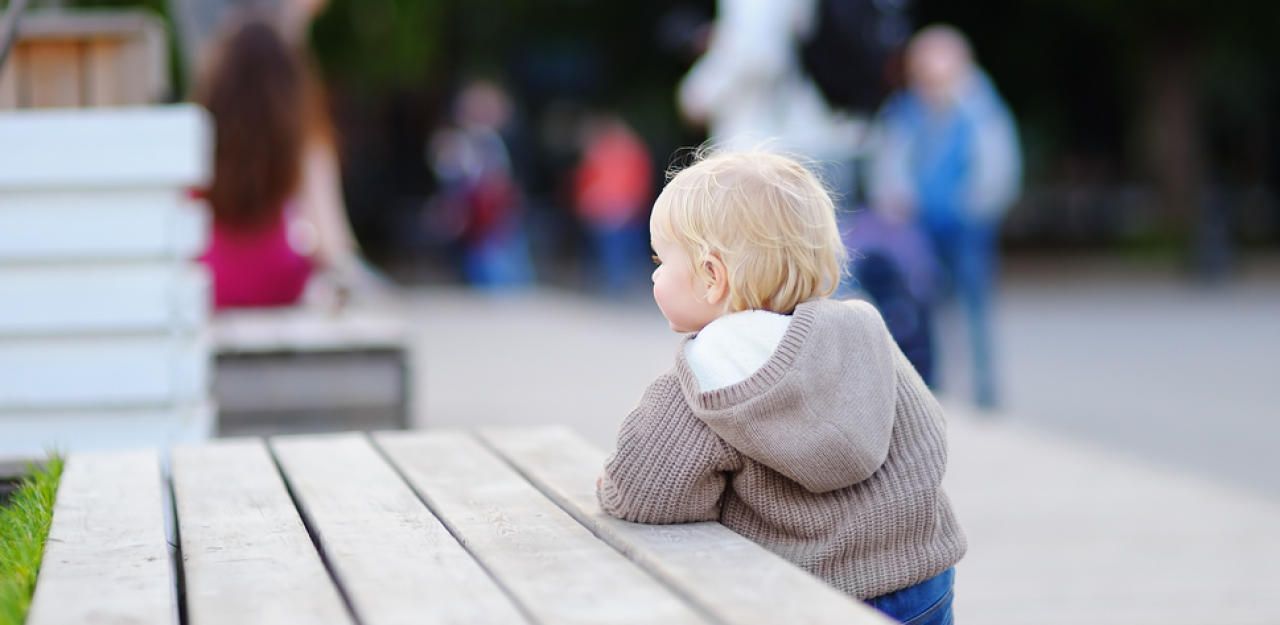 Toddler boy having a walk in the park